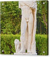 Statue In Rome, Italy. Acrylic Print