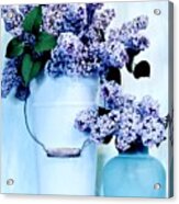 Still Life Of Lilacs Acrylic Print