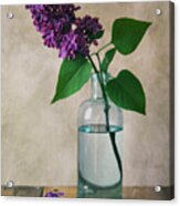 Still Life With Fresh Lilac Acrylic Print