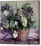 Still Life With Fresh Privet Flowers In The Basket Acrylic Print