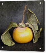 Still Life With Persimmon Acrylic Print