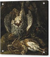 Still Life With Quails And A Partridge Acrylic Print