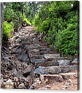 Stone Steps On The Hiking Trail Acrylic Print