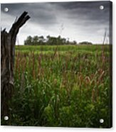 Storm Clouds Over Marsh Acrylic Print