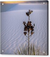Storm Light At White Sands Acrylic Print