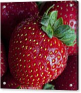 Strawberry 3 Acrylic Print