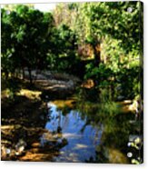 Stream Acrylic Print