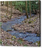 Stream Up The Hollow Acrylic Print