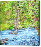 Streaming Through The Woods Acrylic Print