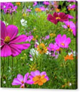 Summer Flower Garden Acrylic Print