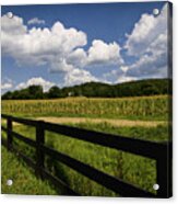 Summer In The Country Acrylic Print