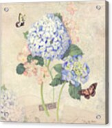Summer Memories - Blue Hydrangea N Butterflies Acrylic Print