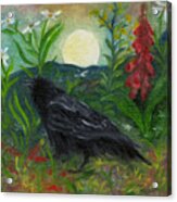 Summer Moon Raven Acrylic Print