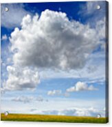 Summer Sky Acrylic Print