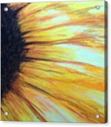 Sun Flower Acrylic Print