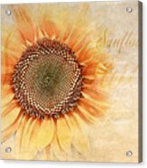 Sunflower Classification Acrylic Print