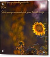 Sunflower Moments Acrylic Print