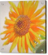 Sunflower Painting Acrylic Print