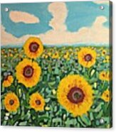 Sunflower Serendipity Acrylic Print