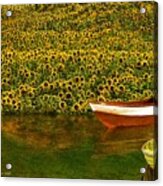 Sunflowers And Boats Acrylic Print