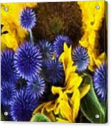Sunflowers And Globe Thistles Acrylic Print