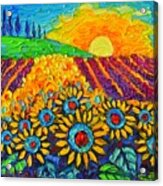 Sunflowers And Lavender At Sunrise Palette Knife Oil Painting By Ana Maria Edulescu Acrylic Print