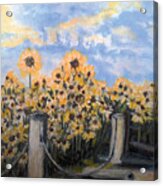Sunflowers At Rest Stop Near Great Sand Dunes Acrylic Print