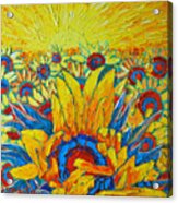 Sunflowers Field In Sunrise Light Acrylic Print