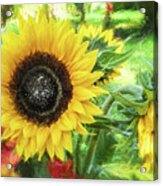 Yellow Sunflowers Flourish Visions Of Summer Acrylic Print