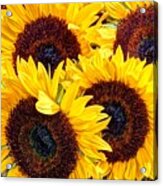 Sunflowers For Sale Acrylic Print