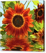 Sunflowers In Water Acrylic Print