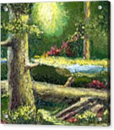 Sunlit Forest Acrylic Print