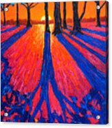 Sunrise In Glory - Long Shadows Of Trees At Dawn Acrylic Print