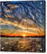 Sunset Framed By Branches Acrylic Print