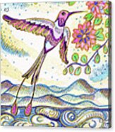 Sunset  Hummingbird Acrylic Print