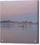 Sunset On Antelope Island Acrylic Print