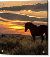 Sunset On The Mustang Acrylic Print