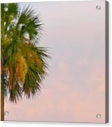 Sunset Palm Acrylic Print