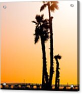 Sunset Palms Acrylic Print