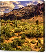 Superstition Mountain And Wilderness Acrylic Print