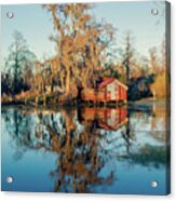 Swamp Reflections Acrylic Print