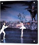 Swan Lake 12 Acrylic Print