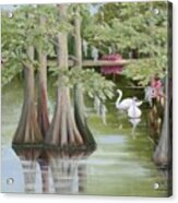 Swan Lake Acrylic Print