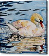 Swan Lake Acrylic Print