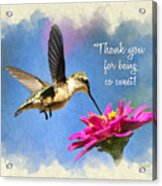 Sweet Hummingbird Thank You Card Acrylic Print