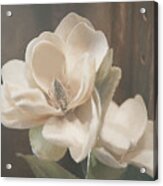 Sweet Magnolia Blossom Acrylic Print