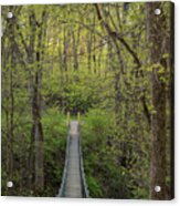 Swinging Bridge In Spring Acrylic Print