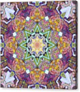Symmetrical Colors Abstract Acrylic Print