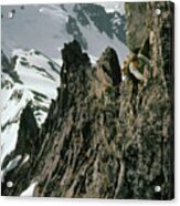 T-04401 Don Gordon And Fred Beckey On First Ascent East Ridge Forbidden Peak Acrylic Print