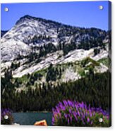 Tanaya Lake Wildflowers Yosemite Acrylic Print